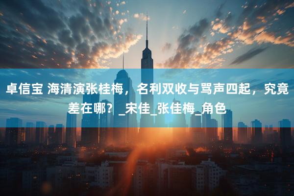 卓信宝 海清演张桂梅，名利双收与骂声四起，究竟差在哪？_宋佳_张佳梅_角色