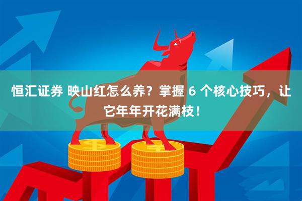恒汇证券 映山红怎么养？掌握 6 个核心技巧，让它年年开花满枝！