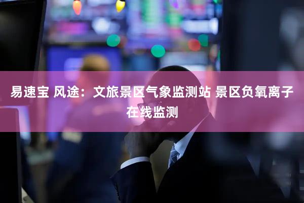 易速宝 风途：文旅景区气象监测站 景区负氧离子在线监测